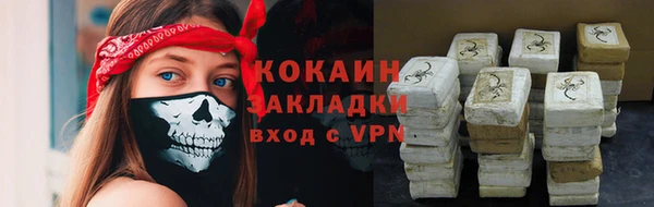 шишки Бронницы