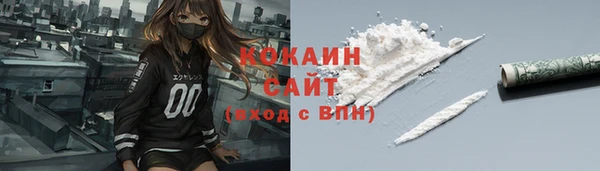 шишки Бронницы