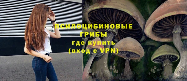 шишки Бронницы