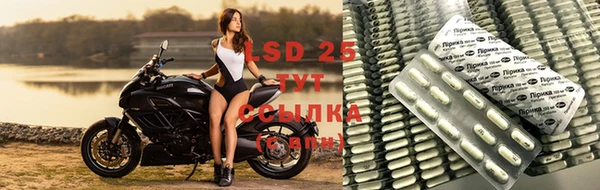 марки lsd Бородино